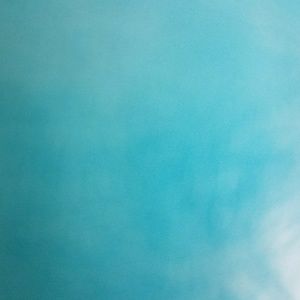 Meet your Posher, Collin